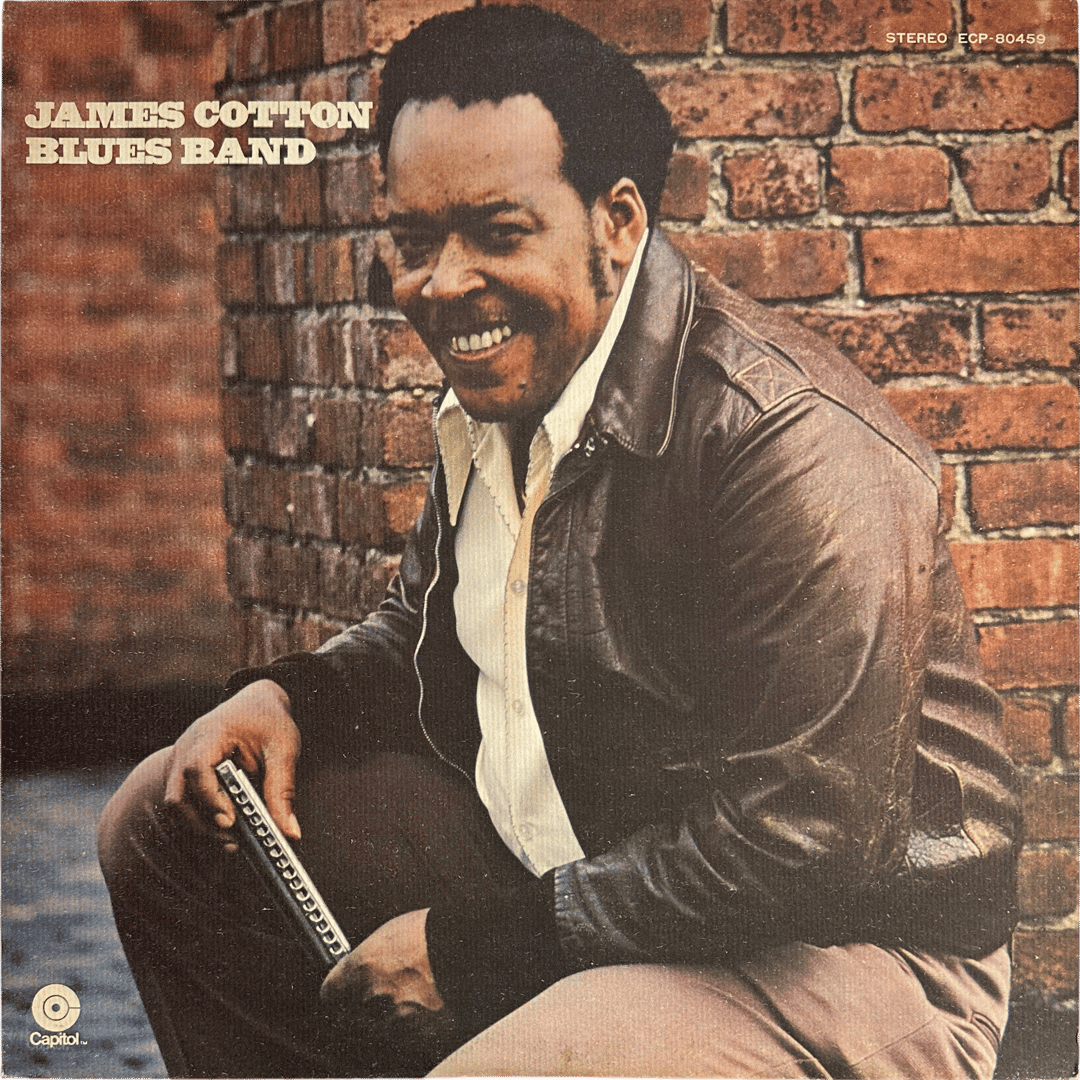 The James Cotton Blues Band / Taking Care Of Business
