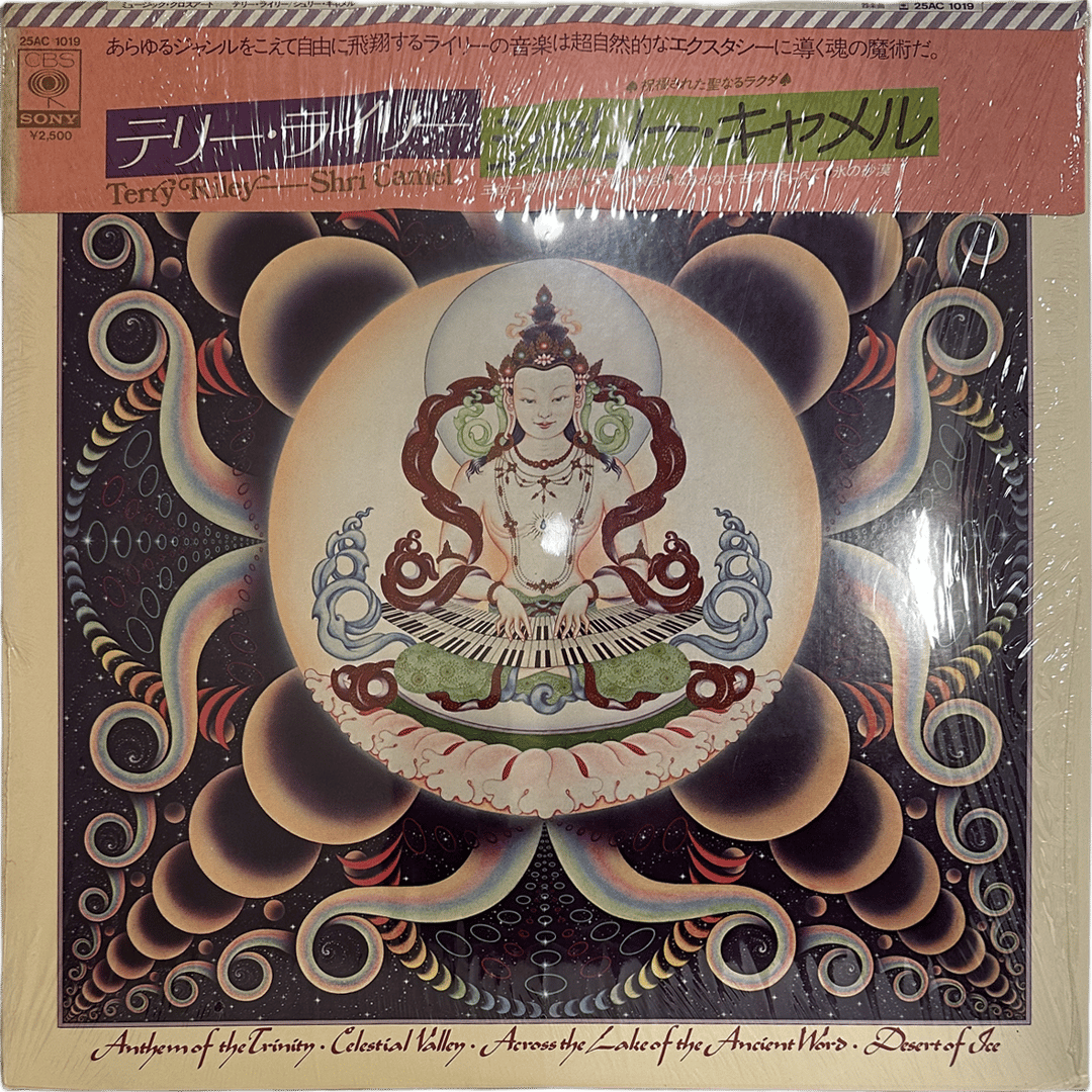 Terry Riley / Shri Camel